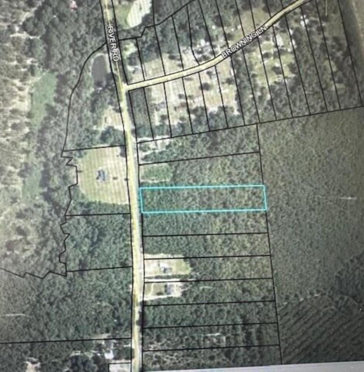 Picture of Residential Land For Sale in Lakeland, Georgia, United States