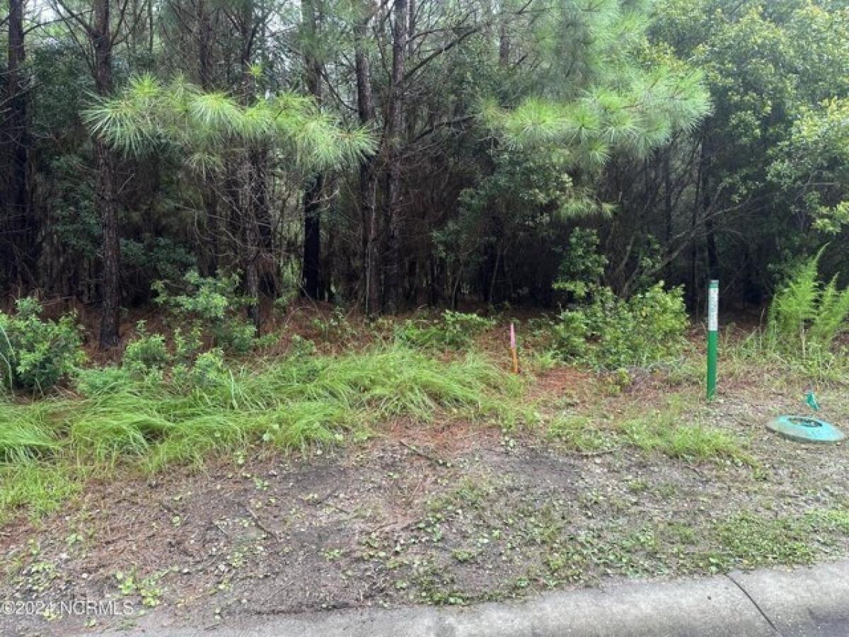 Picture of Residential Land For Sale in Ocean Isle Beach, North Carolina, United States