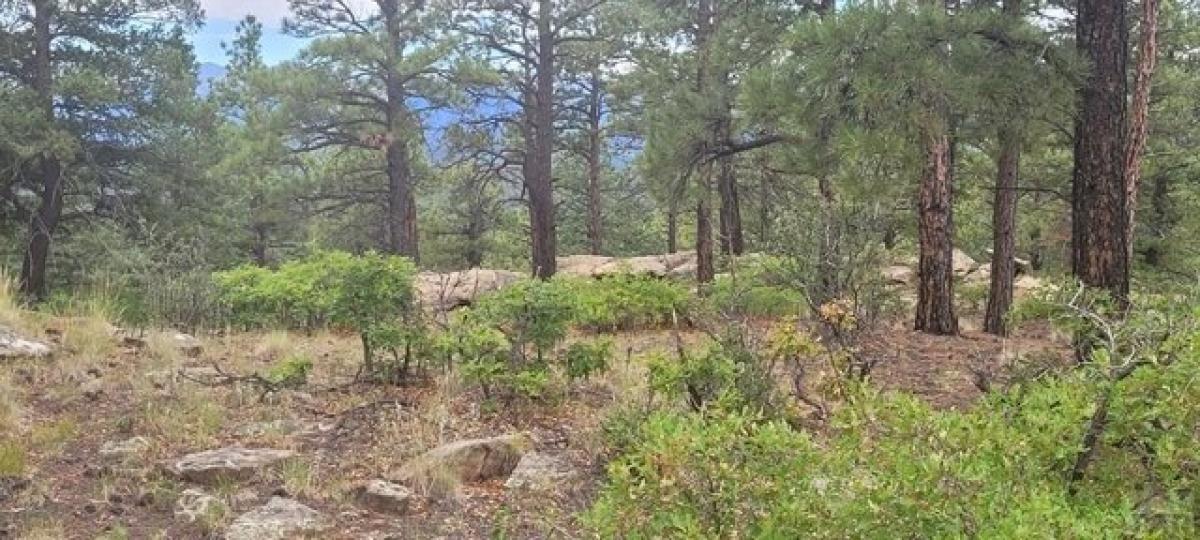 Picture of Residential Land For Sale in Weston, Colorado, United States