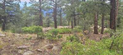 Residential Land For Sale in Weston, Colorado