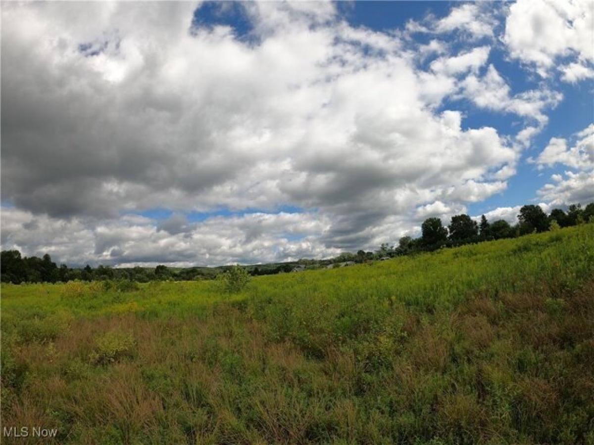 Picture of Residential Land For Sale in North Royalton, Ohio, United States