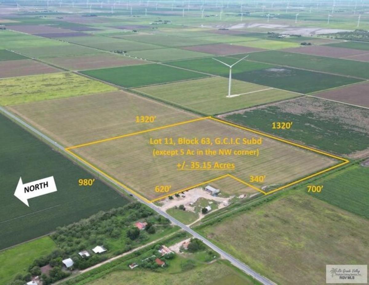 Picture of Residential Land For Sale in Raymondville, Texas, United States