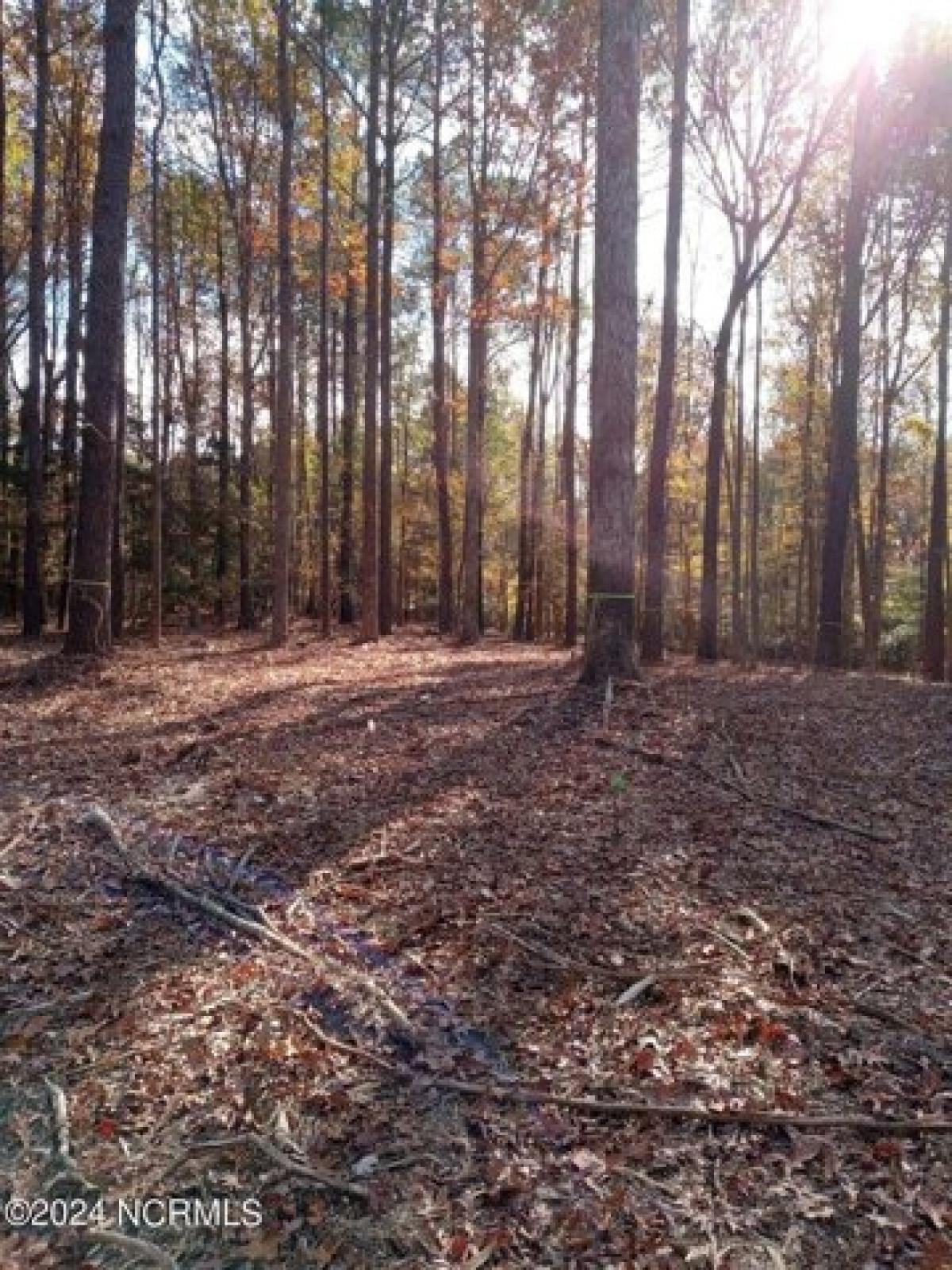 Picture of Residential Land For Sale in Kinston, North Carolina, United States