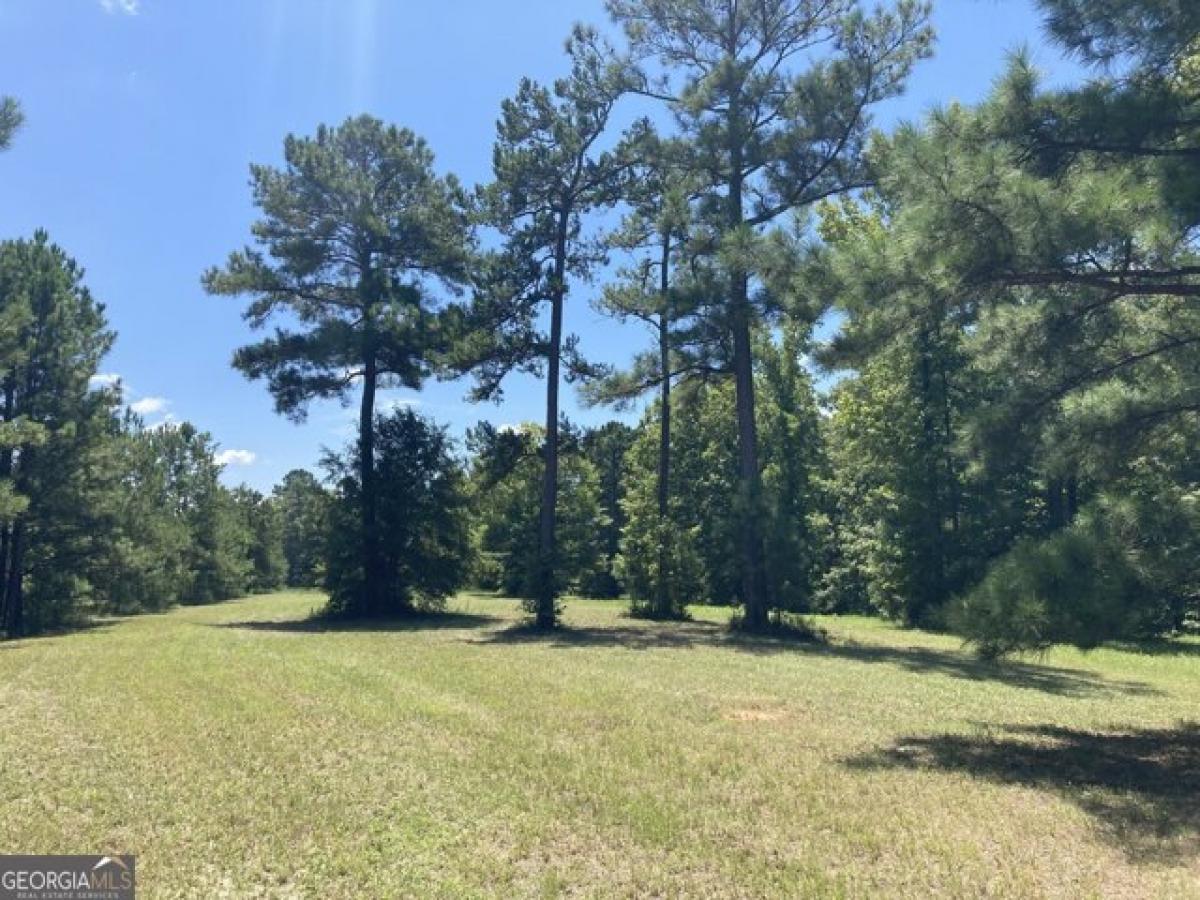 Picture of Residential Land For Sale in Forsyth, Georgia, United States