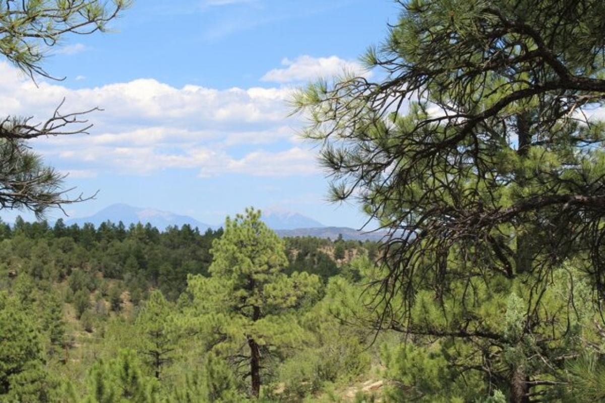 Picture of Residential Land For Sale in Trinidad, Colorado, United States