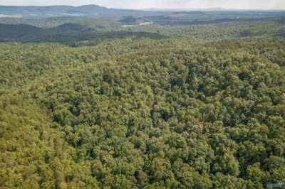 Residential Land For Sale in Gaylesville, Alabama