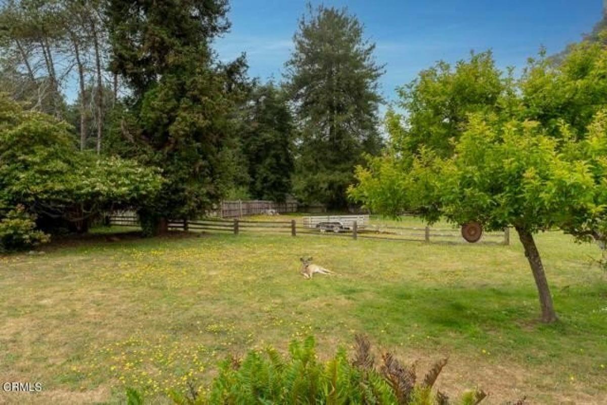 Picture of Home For Sale in Fort Bragg, California, United States