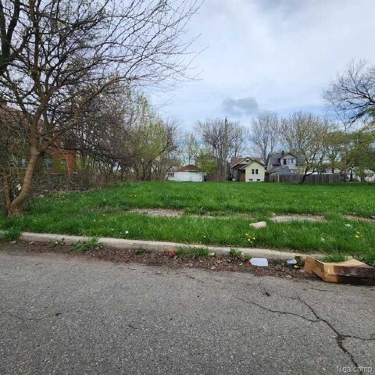 Picture of Residential Land For Rent in Detroit, Michigan, United States