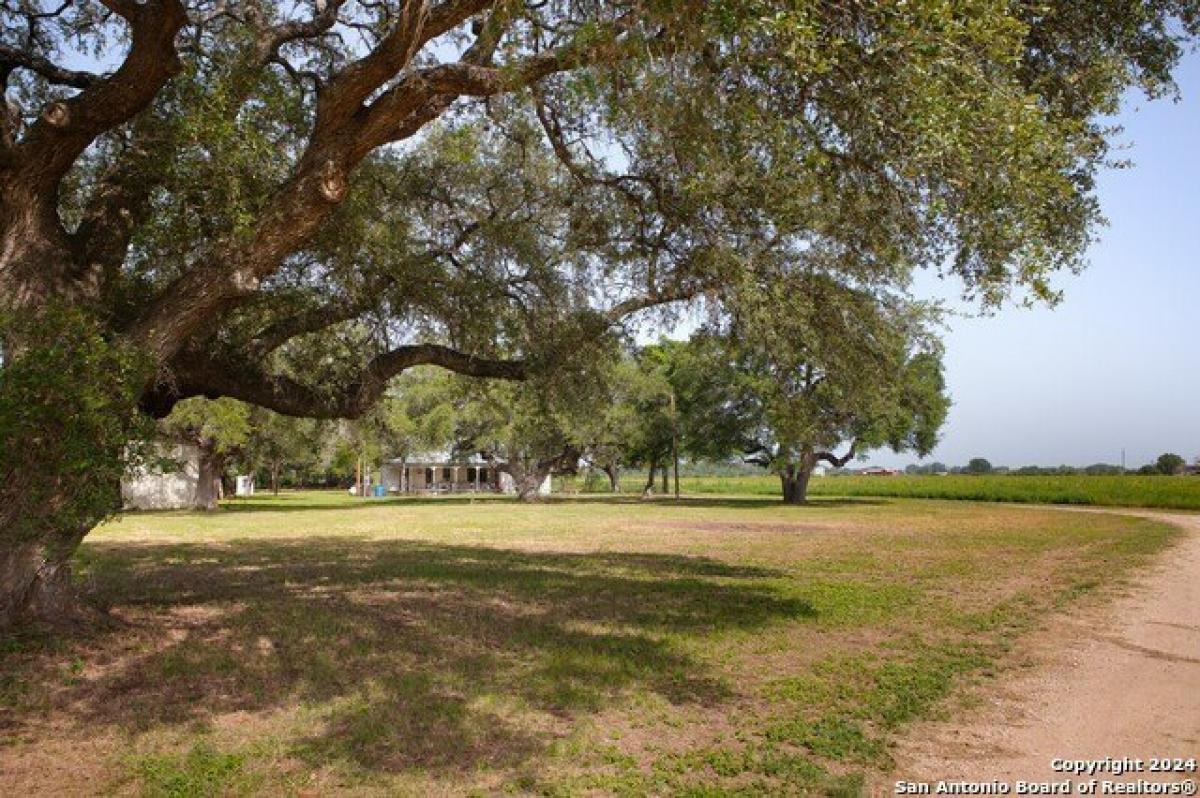 Picture of Residential Land For Sale in Cibolo, Texas, United States