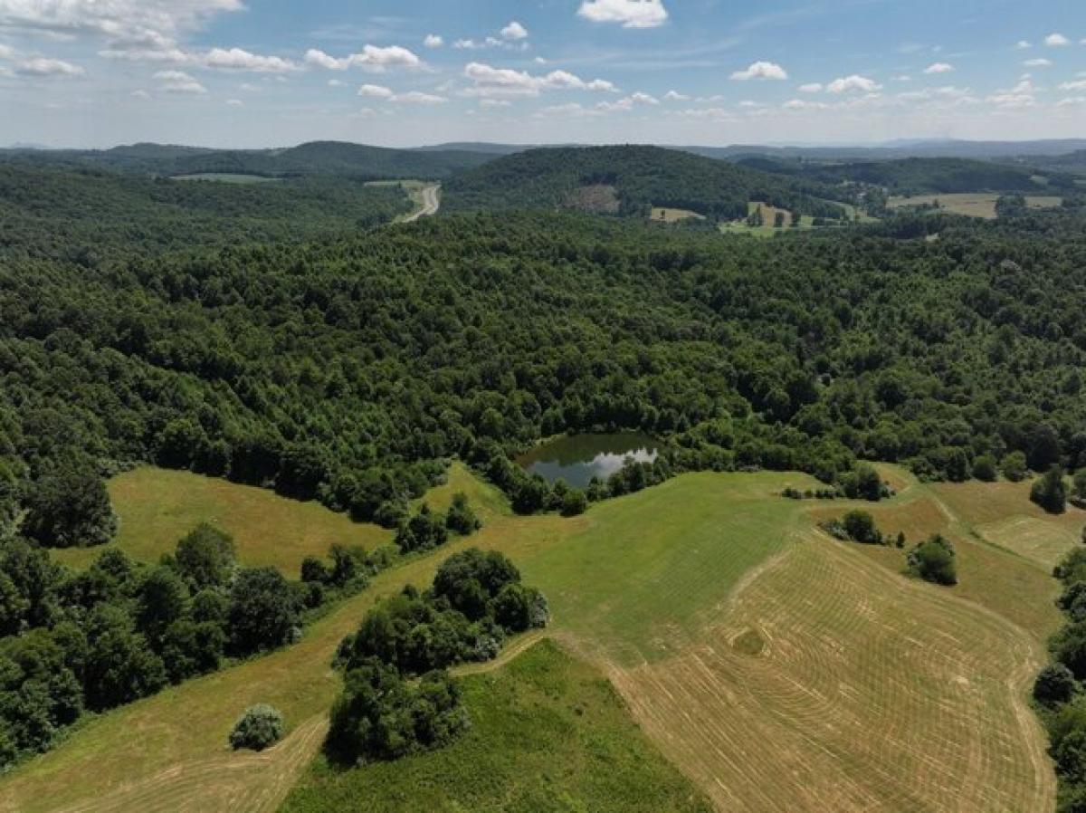 Picture of Residential Land For Sale in Meadows of Dan, Virginia, United States