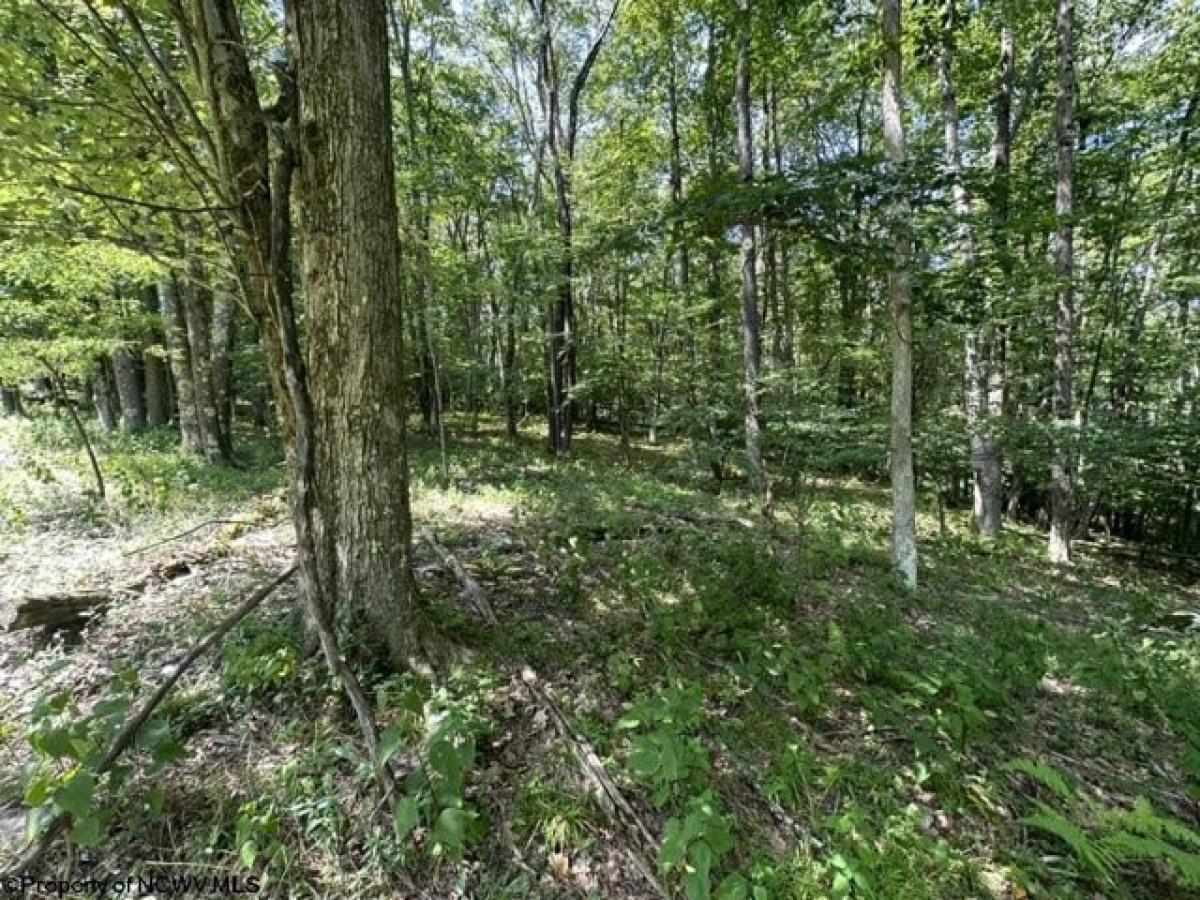 Picture of Residential Land For Sale in Terra Alta, West Virginia, United States