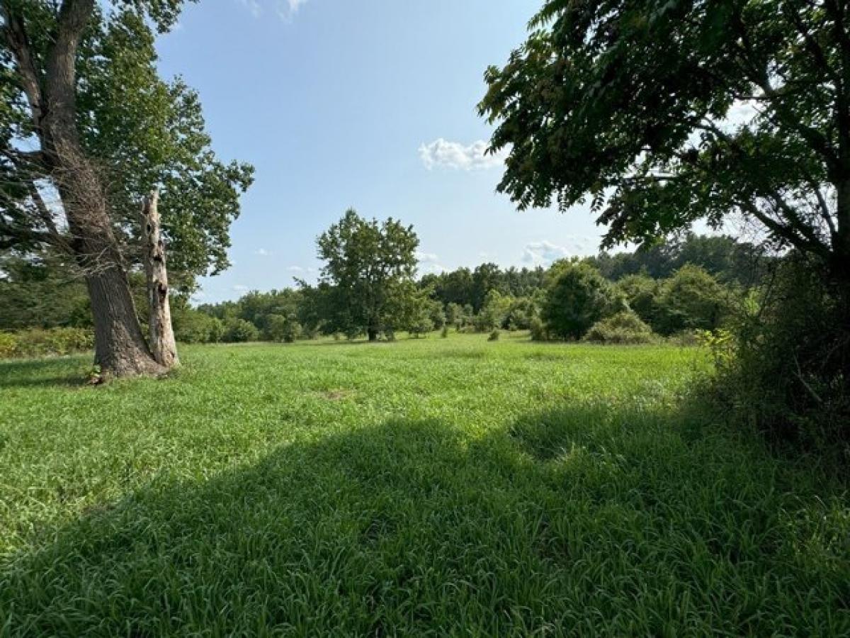 Picture of Residential Land For Sale in Randolph, Virginia, United States