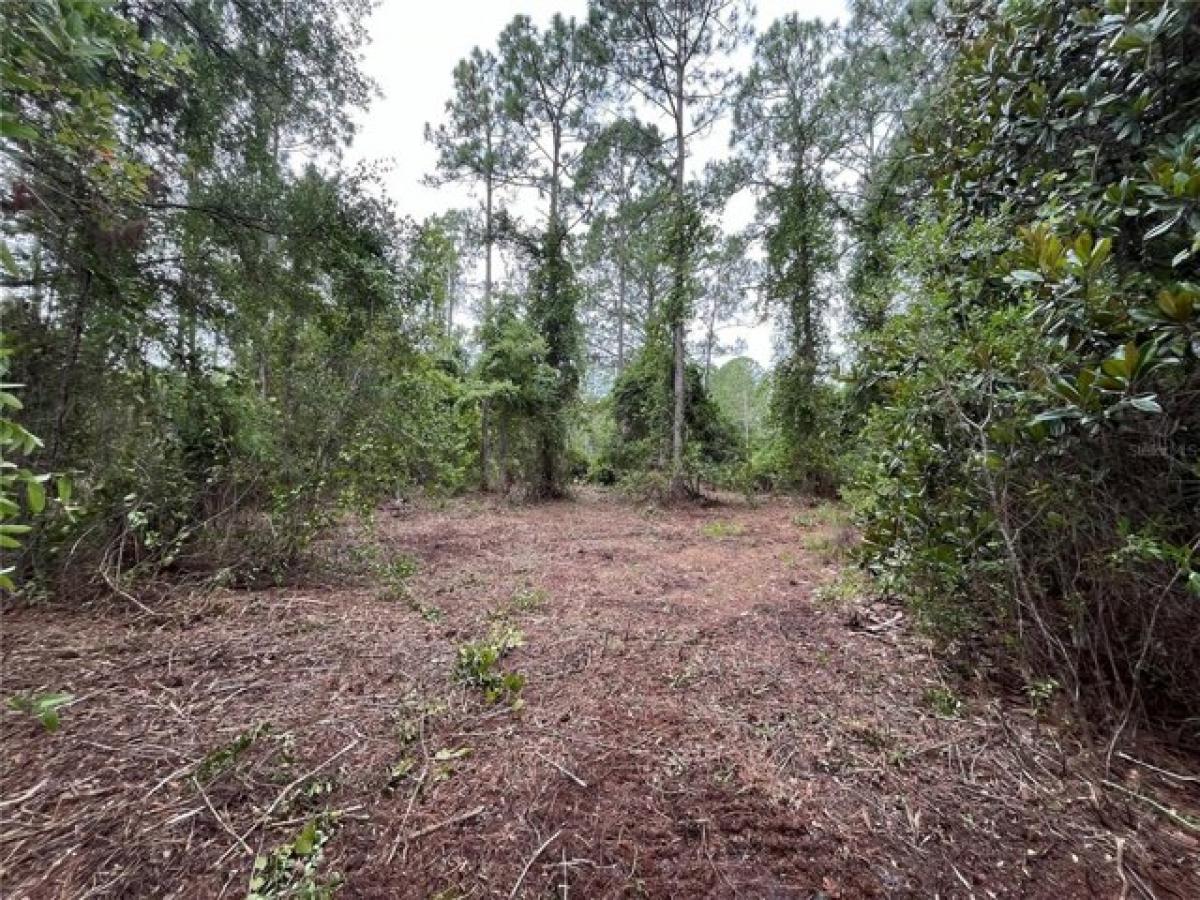 Picture of Residential Land For Sale in Georgetown, Florida, United States