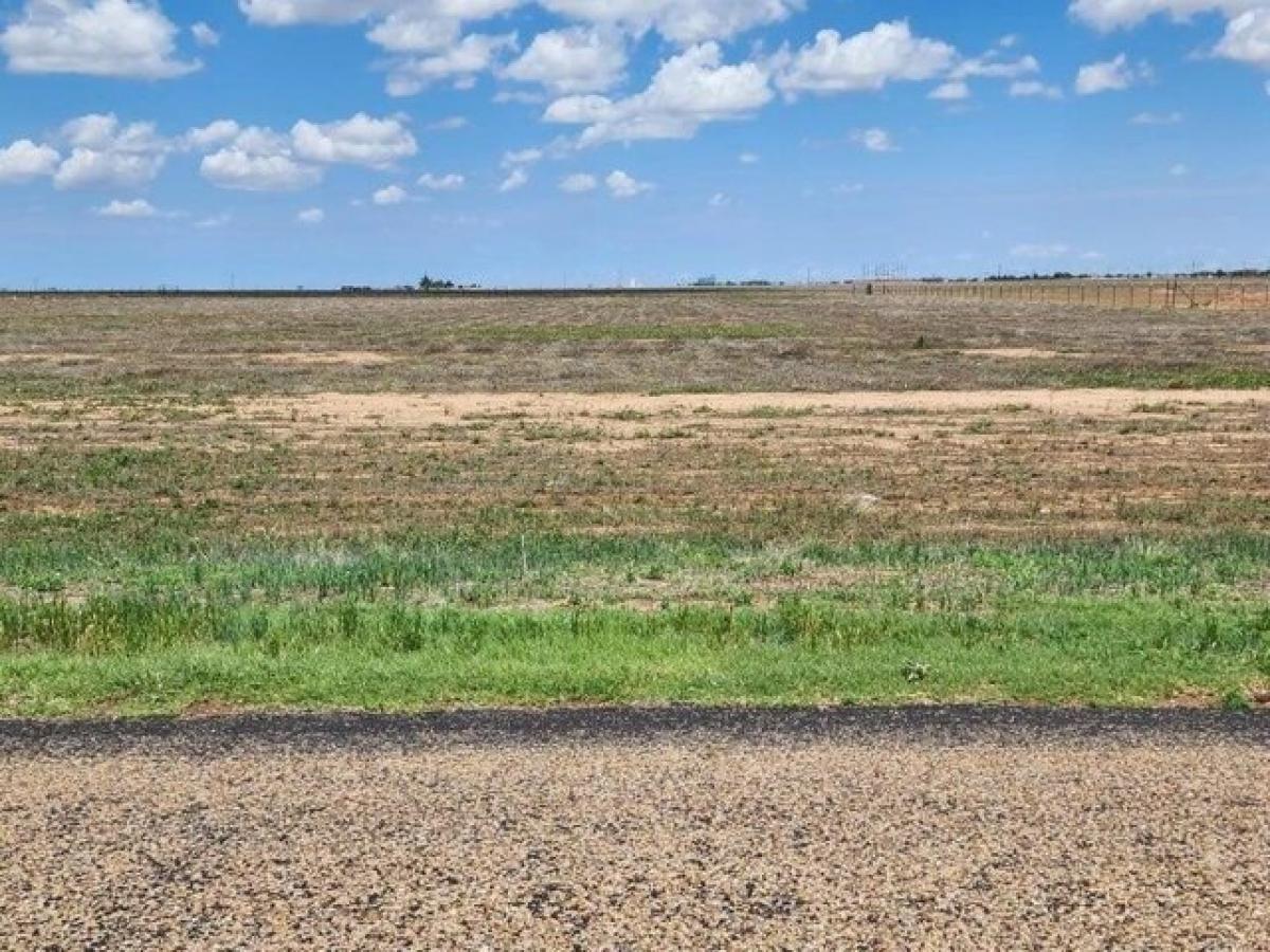 Picture of Residential Land For Sale in Amarillo, Texas, United States