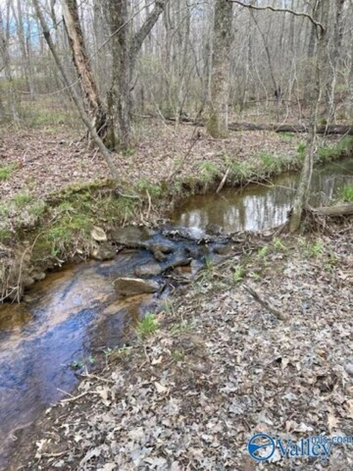 Picture of Residential Land For Sale in Mentone, Alabama, United States