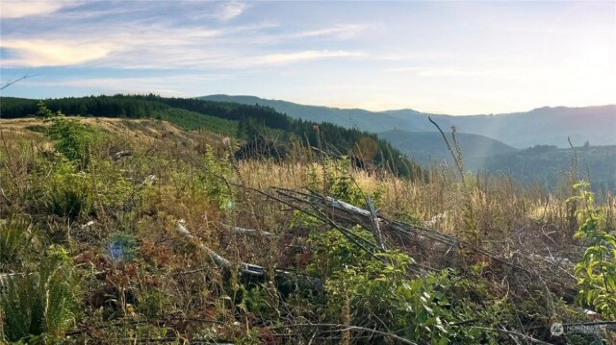 Picture of Residential Land For Sale in Woodland, Washington, United States