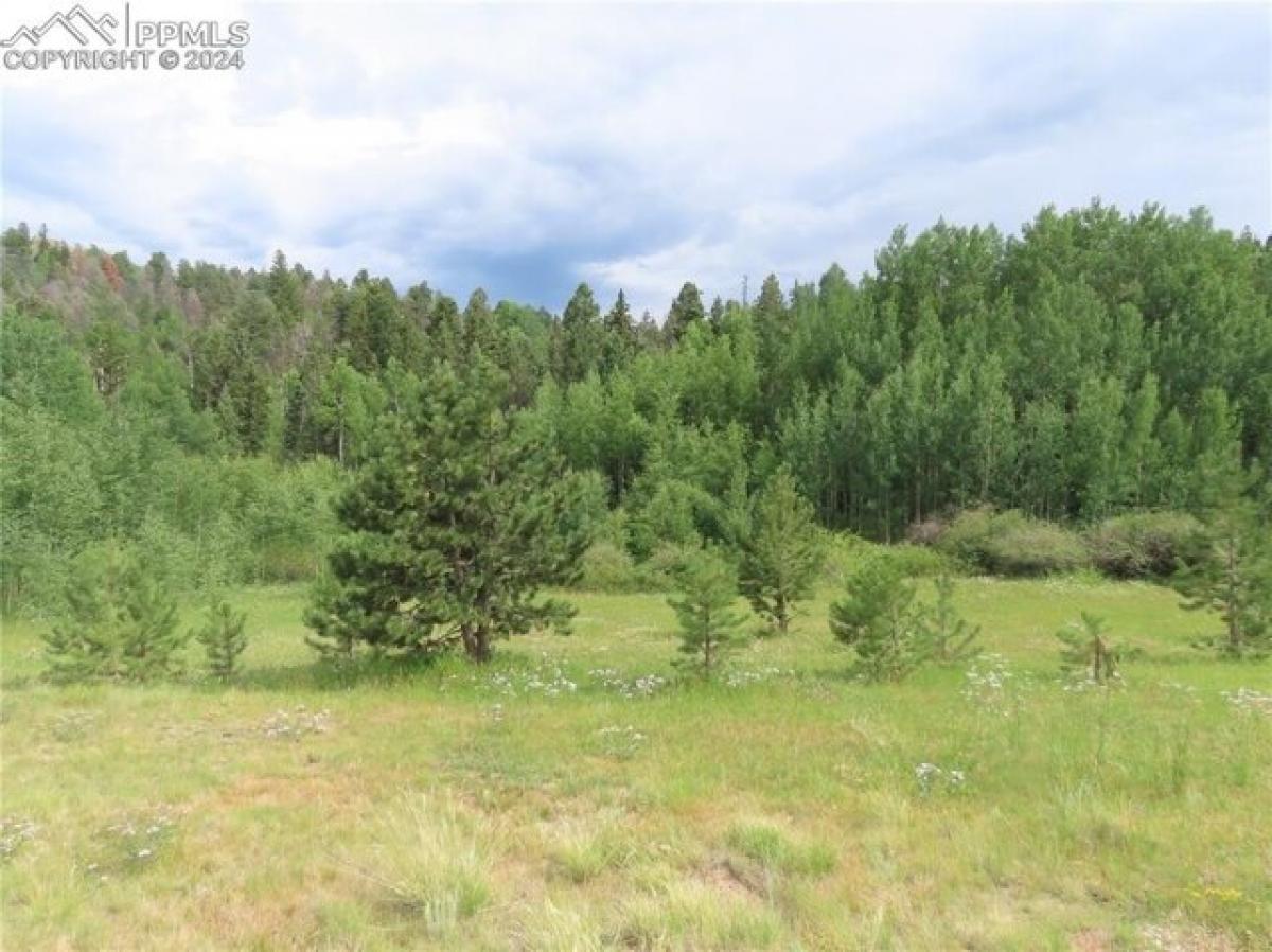 Picture of Residential Land For Sale in Florissant, Colorado, United States