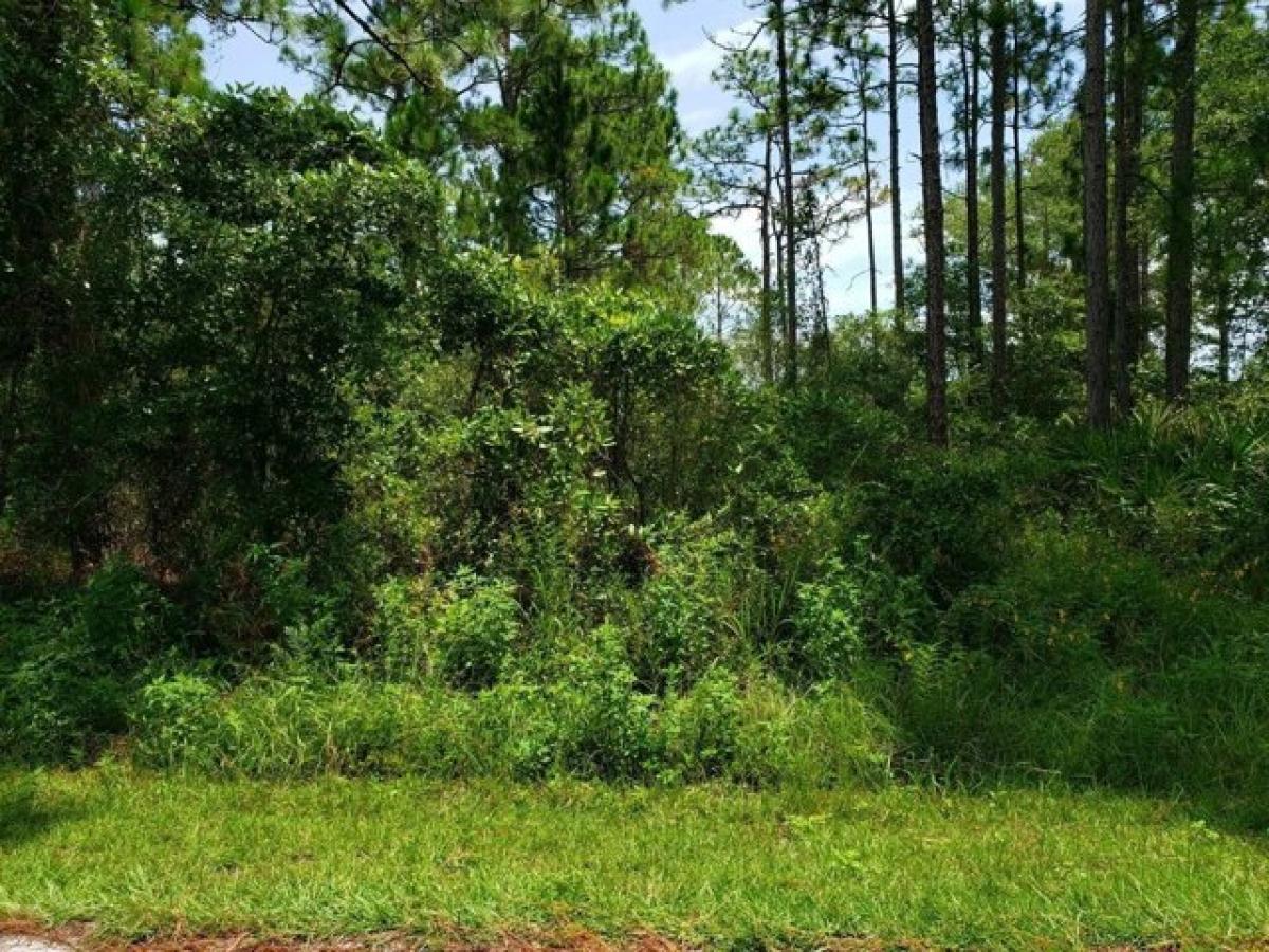 Picture of Residential Land For Sale in Panacea, Florida, United States