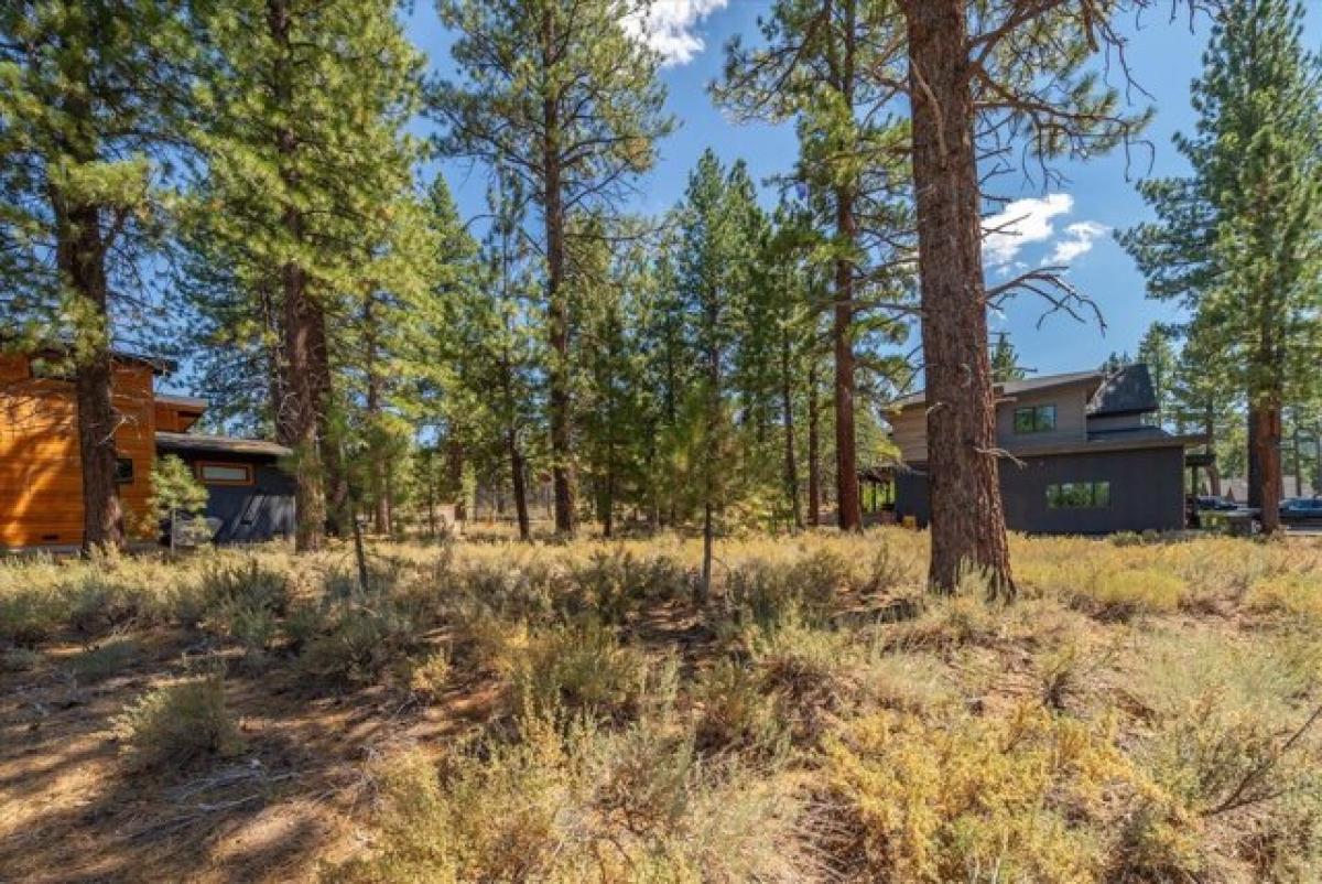 Picture of Residential Land For Sale in Truckee, California, United States