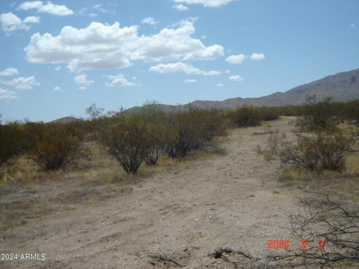 Picture of Residential Land For Sale in Aguila, Arizona, United States