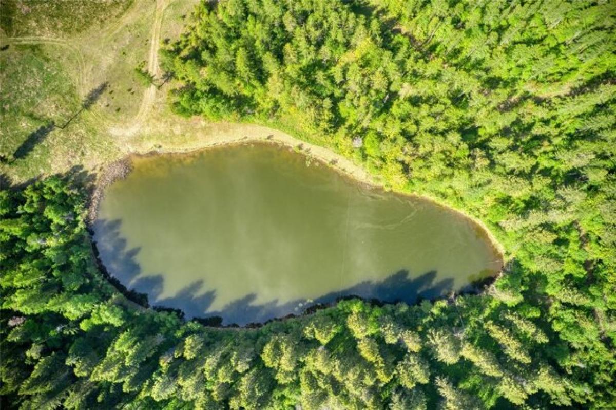 Picture of Residential Land For Sale in Columbia Falls, Montana, United States