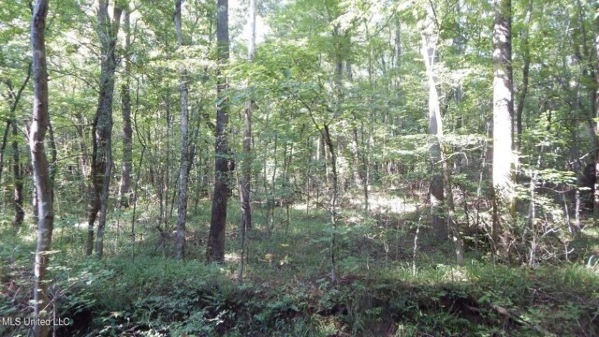 Picture of Residential Land For Sale in Byhalia, Mississippi, United States