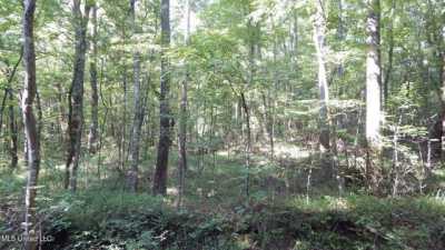 Residential Land For Sale in Byhalia, Mississippi