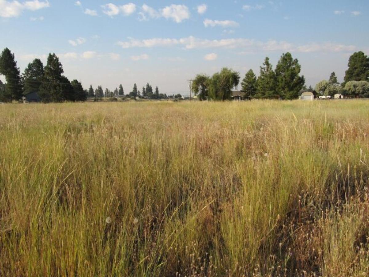 Picture of Residential Land For Sale in Chiloquin, Oregon, United States