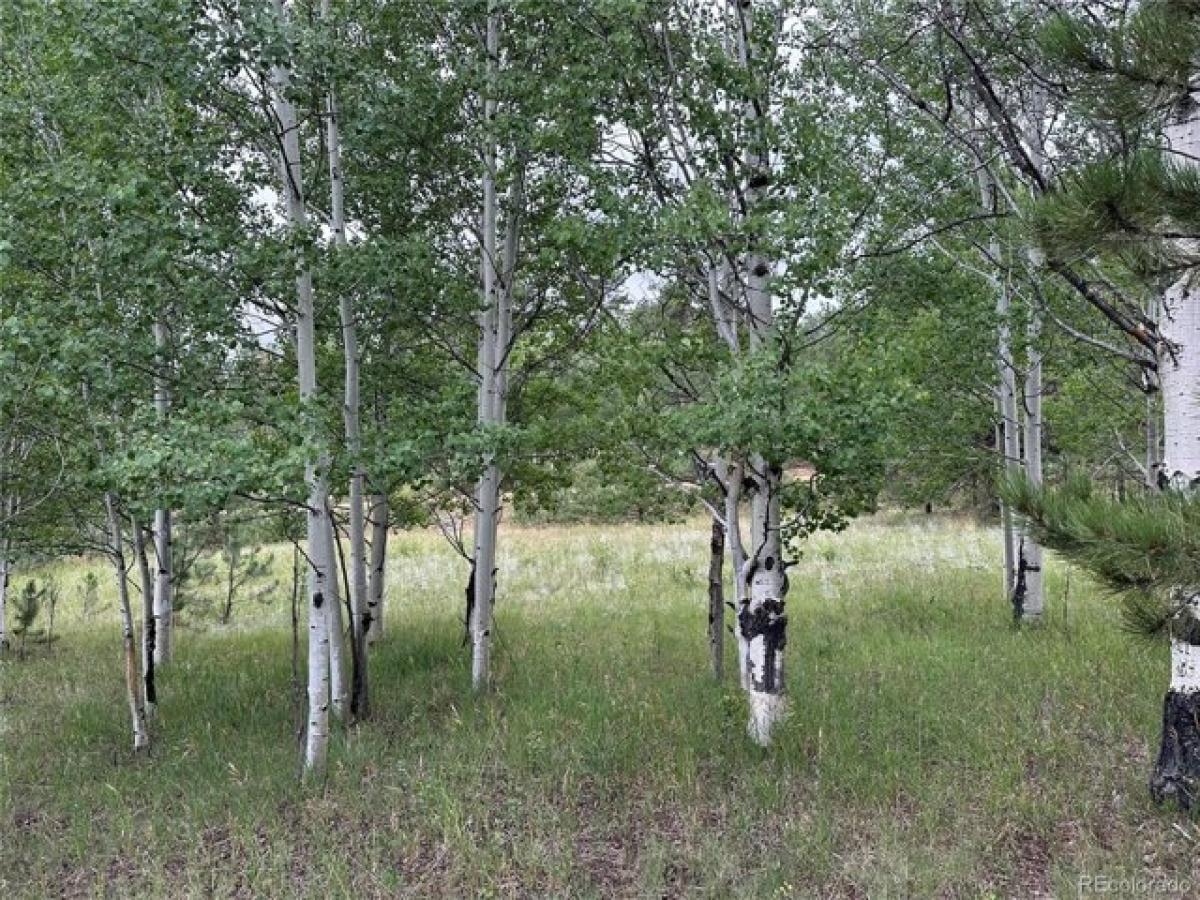 Picture of Residential Land For Sale in Florissant, Colorado, United States