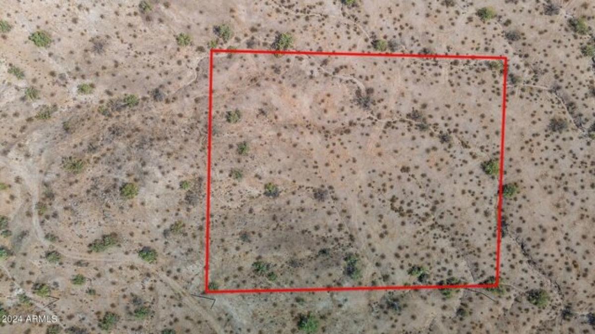 Picture of Residential Land For Sale in Buckeye, Arizona, United States