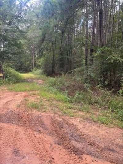 Residential Land For Sale in Nacogdoches, Texas