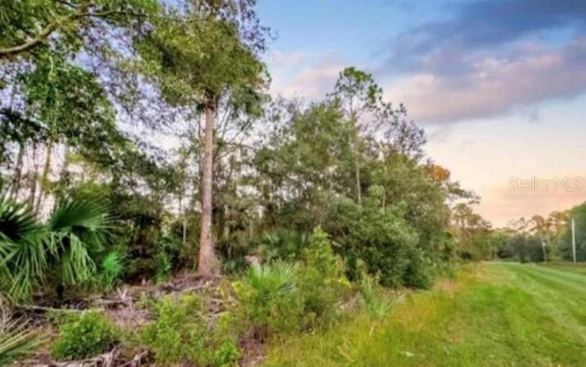 Picture of Residential Land For Sale in Georgetown, Florida, United States