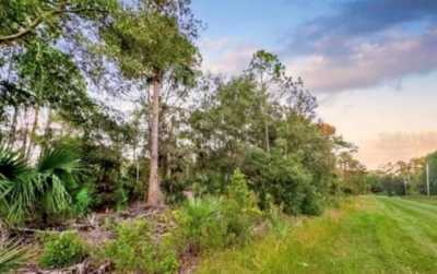 Residential Land For Sale in Georgetown, Florida