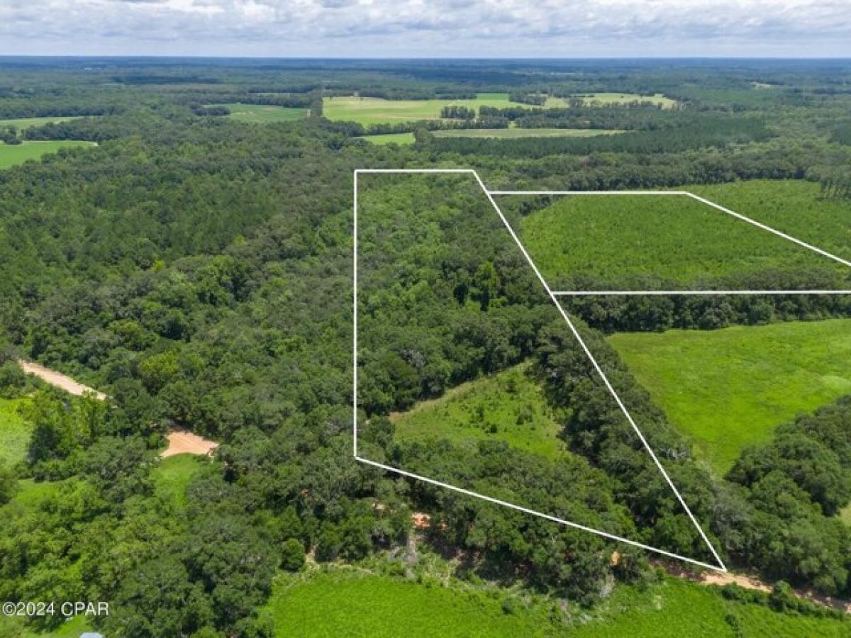 Picture of Residential Land For Sale in Bonifay, Florida, United States