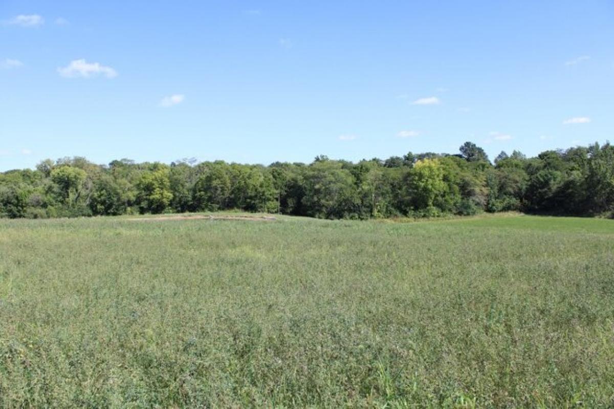 Picture of Residential Land For Sale in Clinton, Illinois, United States