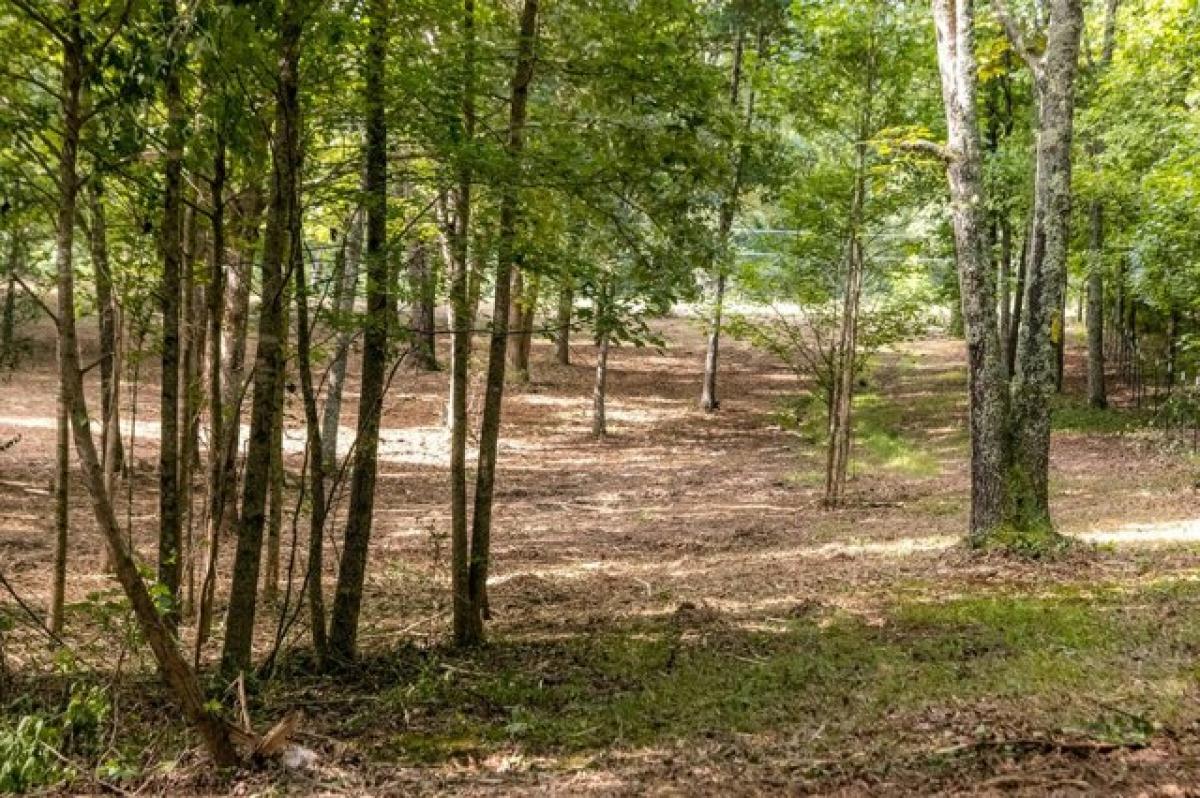 Picture of Residential Land For Sale in Birchwood, Tennessee, United States