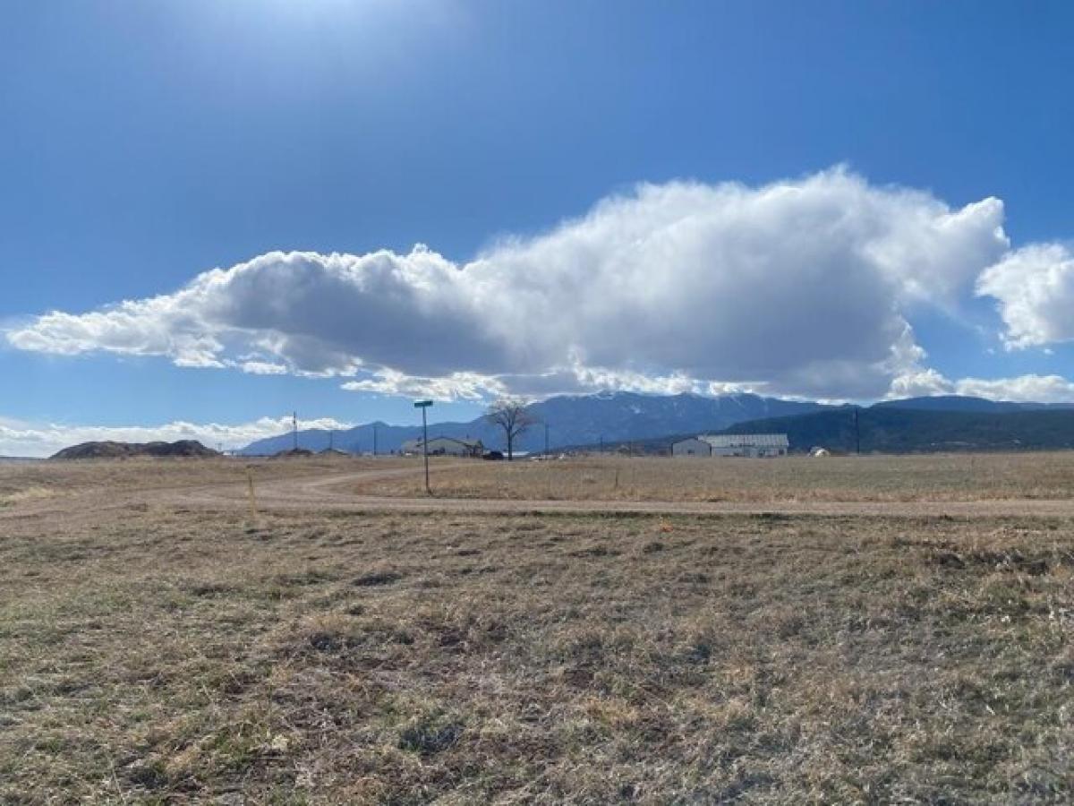 Picture of Residential Land For Rent in Colorado City, Colorado, United States