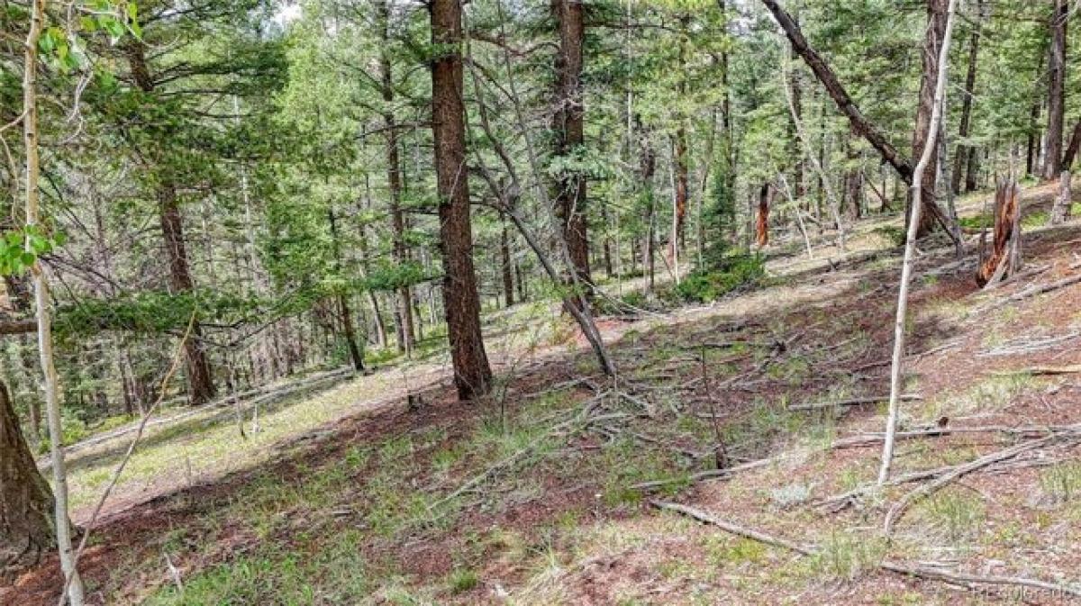 Picture of Residential Land For Sale in Cripple Creek, Colorado, United States