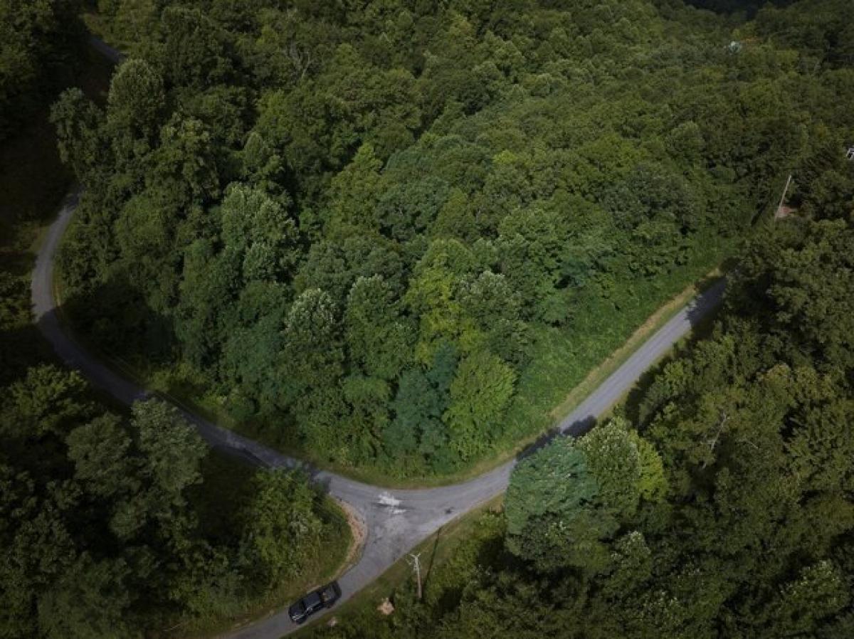 Picture of Residential Land For Sale in Bryson City, North Carolina, United States