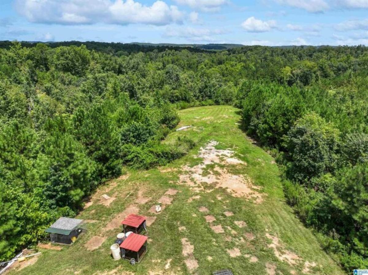 Picture of Home For Sale in Jemison, Alabama, United States