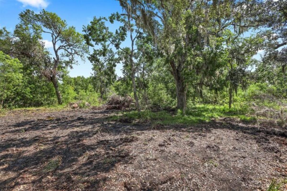 Picture of Residential Land For Sale in Sweeny, Texas, United States