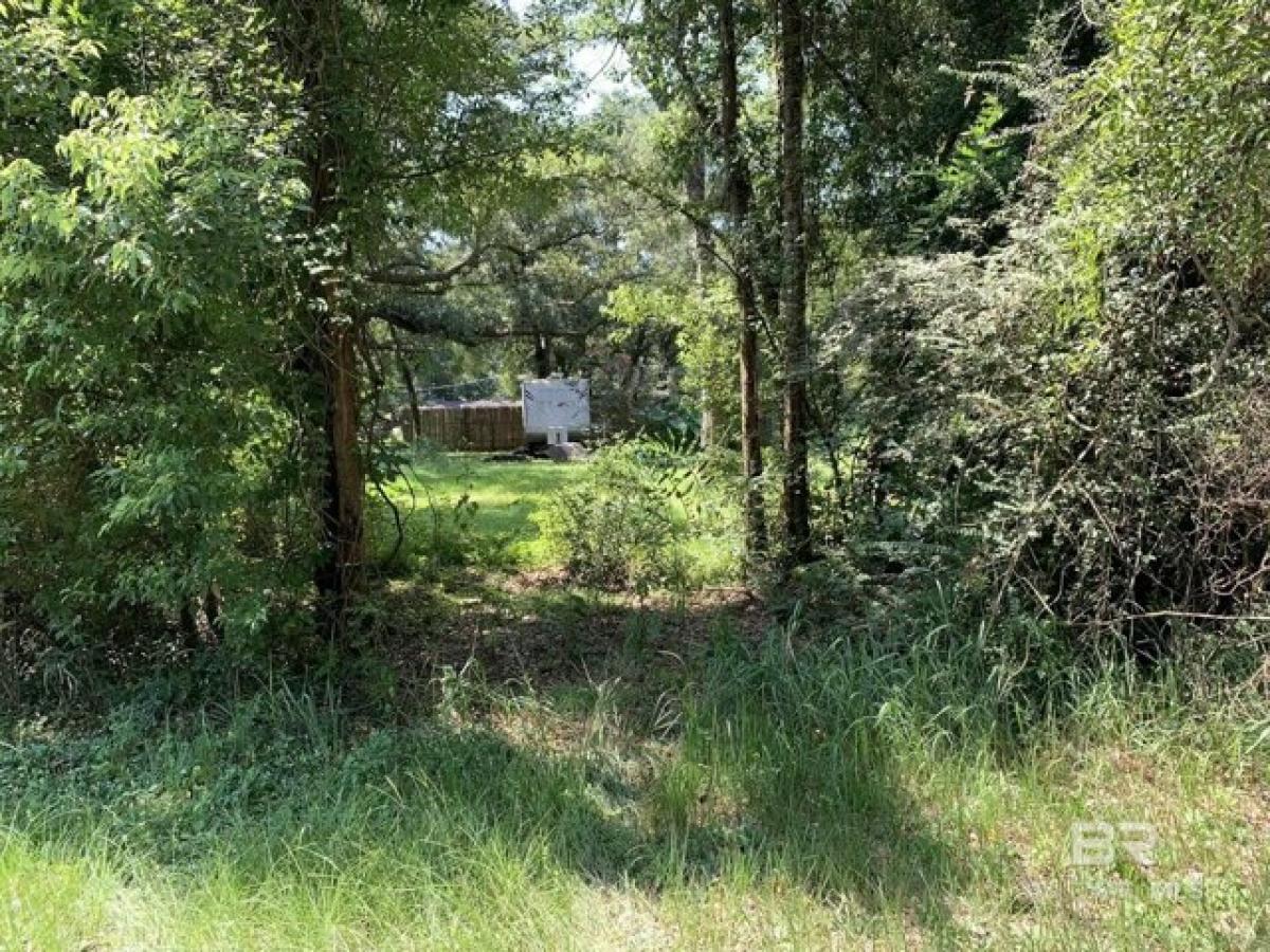 Picture of Residential Land For Sale in Loxley, Alabama, United States