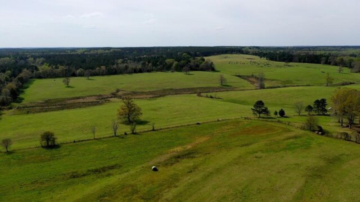 Picture of Residential Land For Sale in Clayton, Alabama, United States