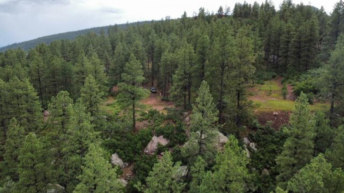 Picture of Residential Land For Sale in Chama, New Mexico, United States