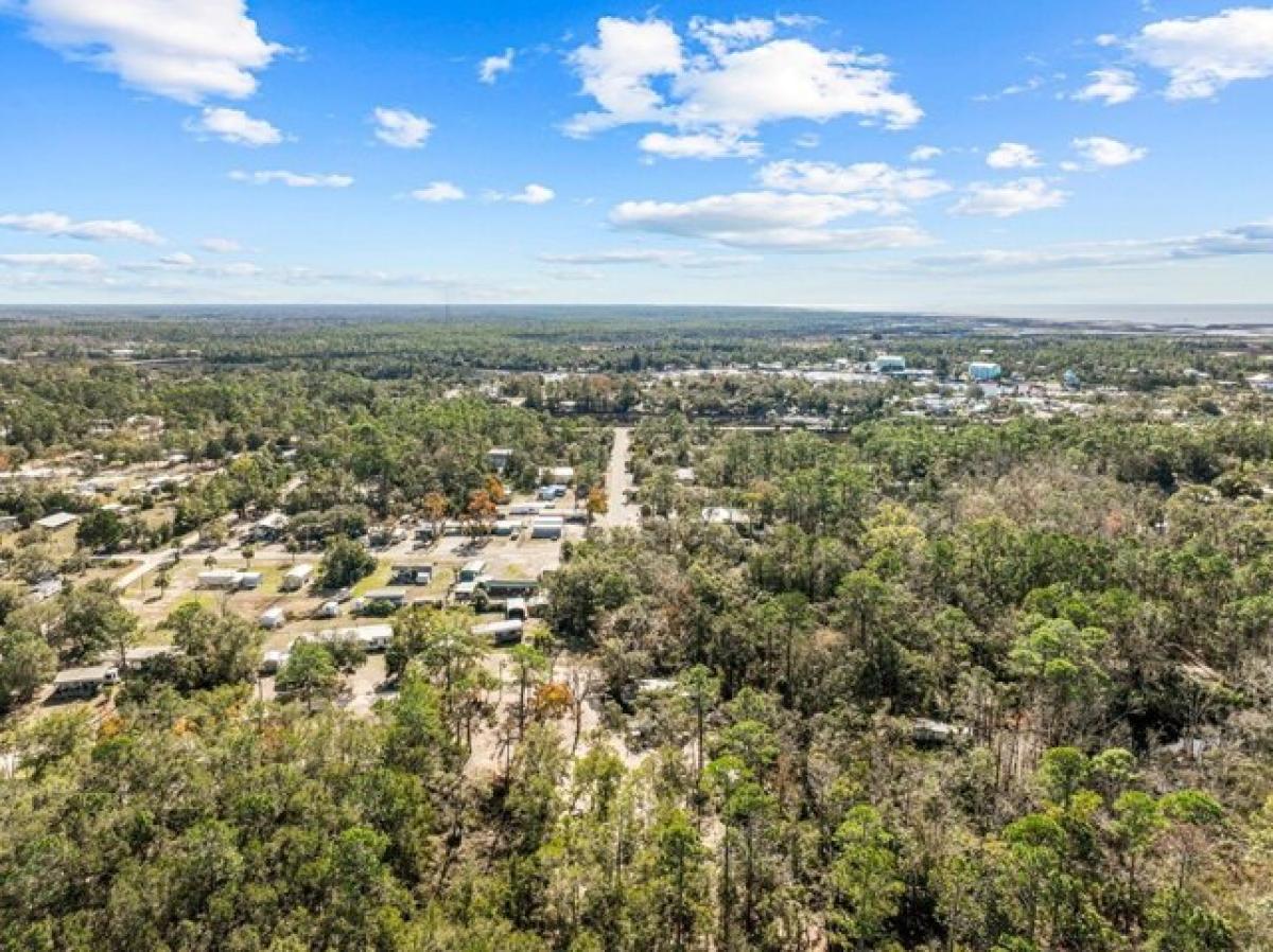 Picture of Residential Land For Sale in Steinhatchee, Florida, United States