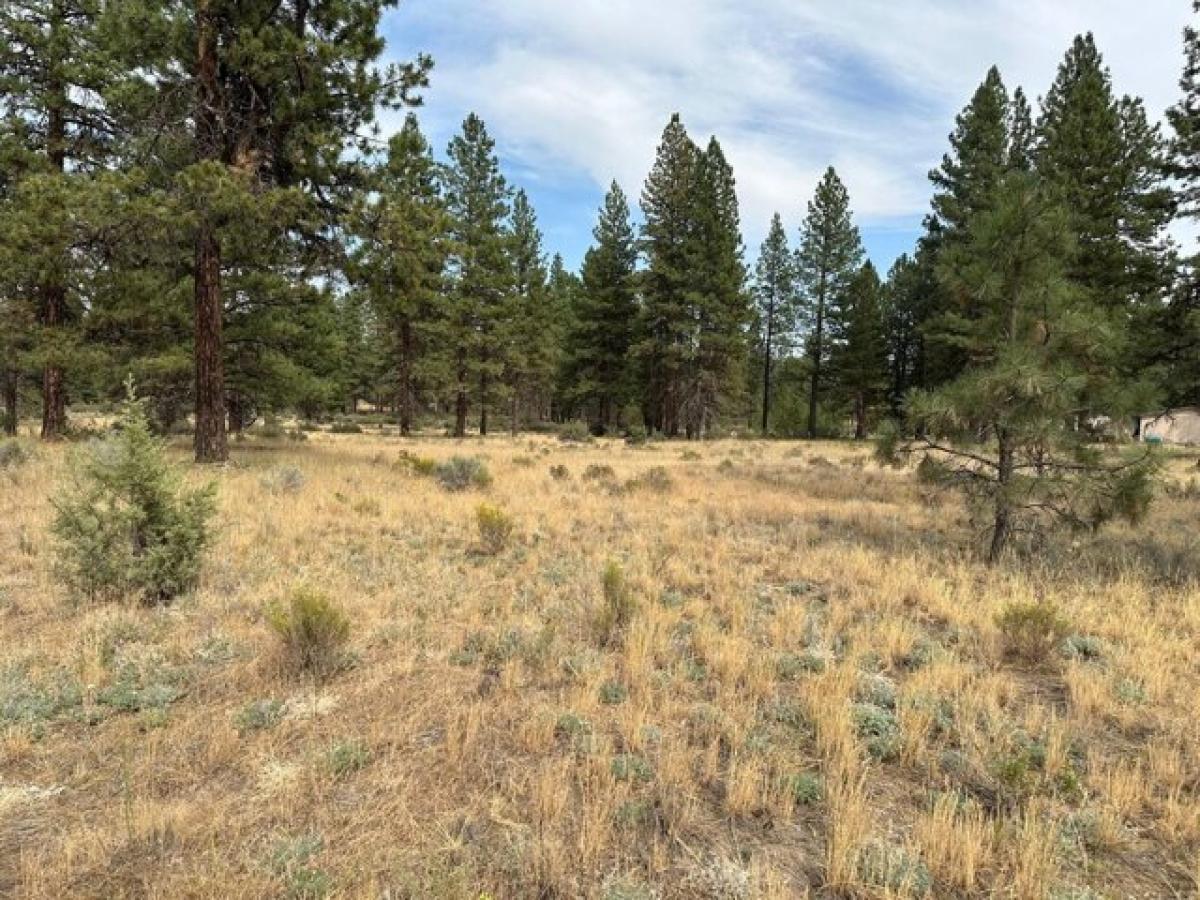 Picture of Residential Land For Sale in Bonanza, Oregon, United States