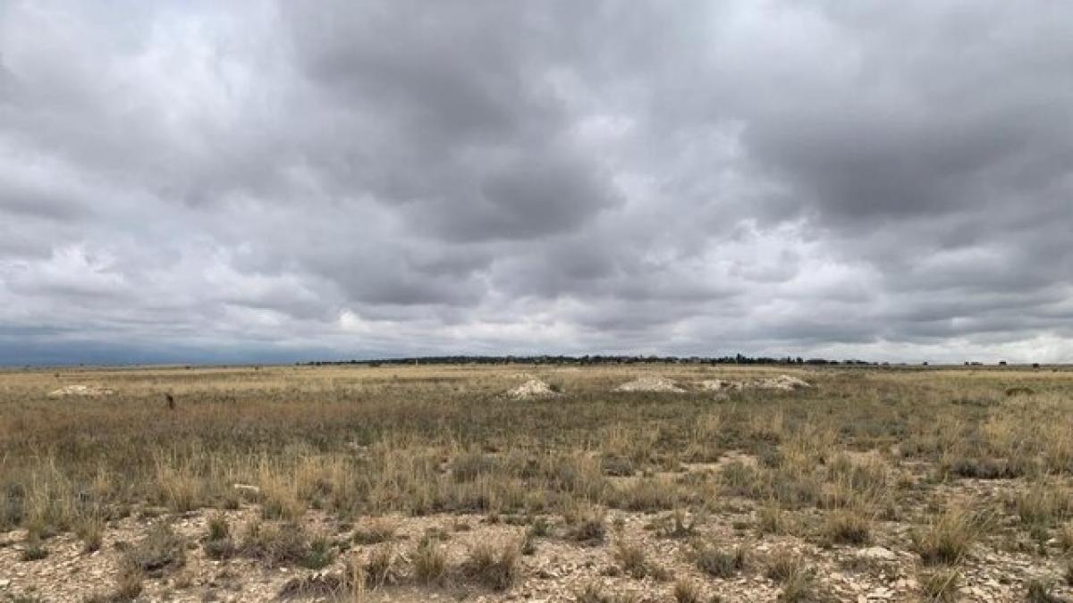 Picture of Residential Land For Sale in Pueblo West, Colorado, United States