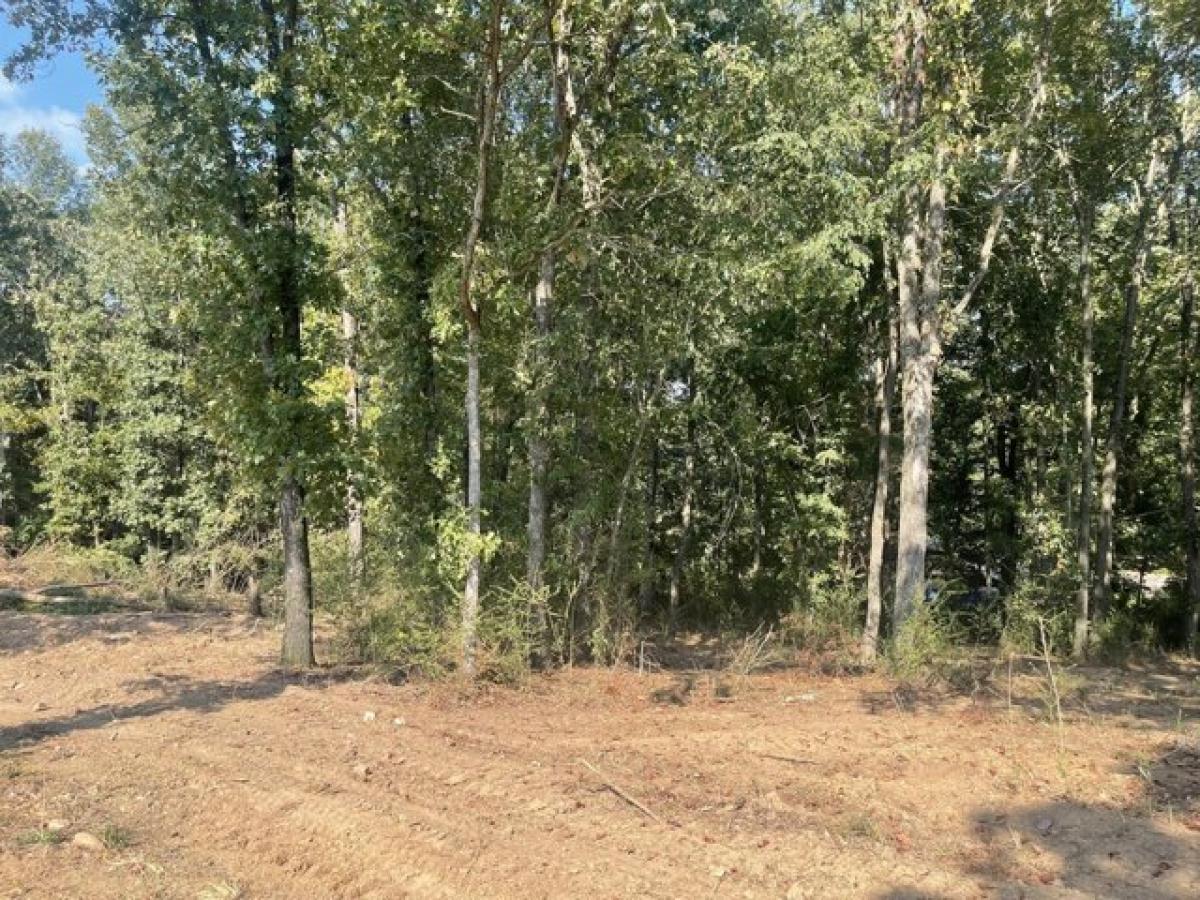 Picture of Residential Land For Sale in Russellville, Arkansas, United States