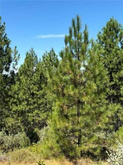 Residential Land For Sale in Dobbins, California