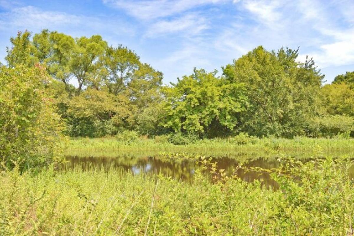 Picture of Residential Land For Sale in Antlers, Oklahoma, United States